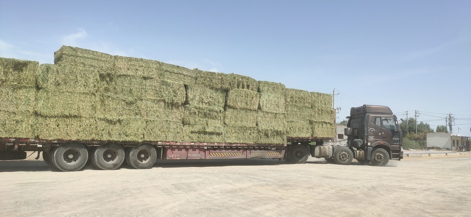 【基層動(dòng)態(tài)】疫情防控不松懈 牧草銷售裝車忙